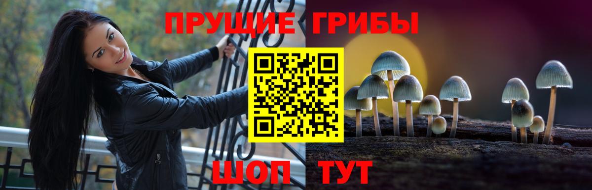 Самара  Псилоцибиновые грибы Psilocybe  Галлюциногенные грибы прущие грибы  Вход с VPN 